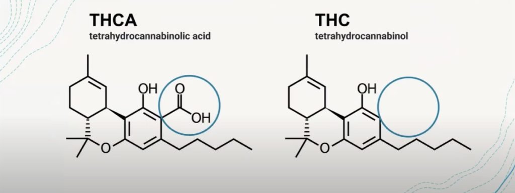 Diferencias en la fórmula química del THCA y THC