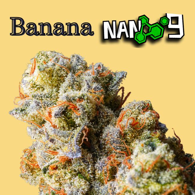Cogollo-de-Flor-Banana-x-Nano-9-CBD-al-60-1-5