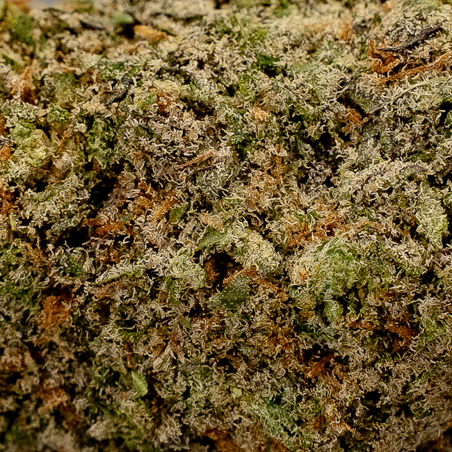 cali-sweet-cherry-pie-cbd-4