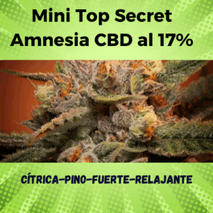 Mini Top Secret Amnesia CBD al 17%